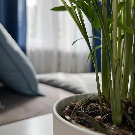 Flower House Chopin Airport Varsóvia