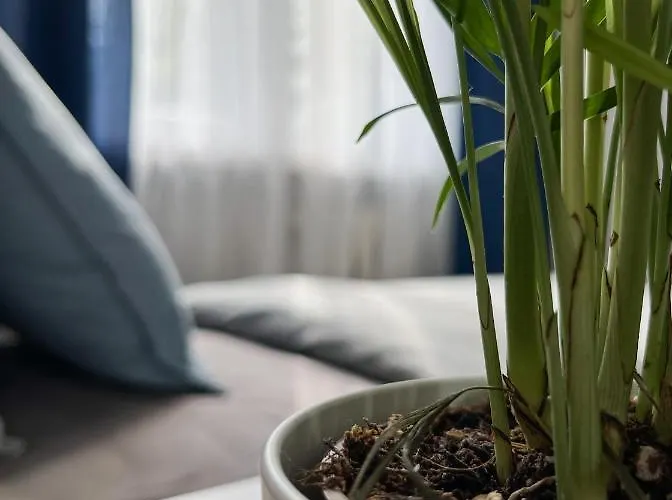 Flower House Chopin Airport Warszawa