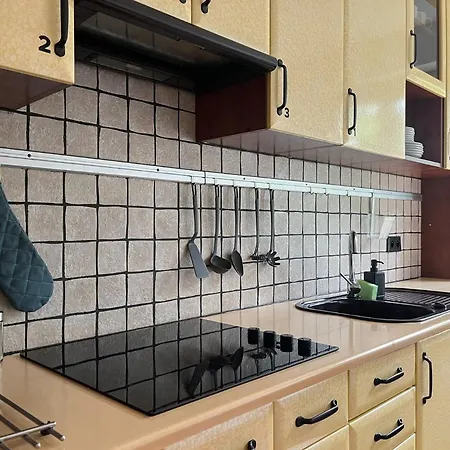 ホステル Flower House Chopin Airport